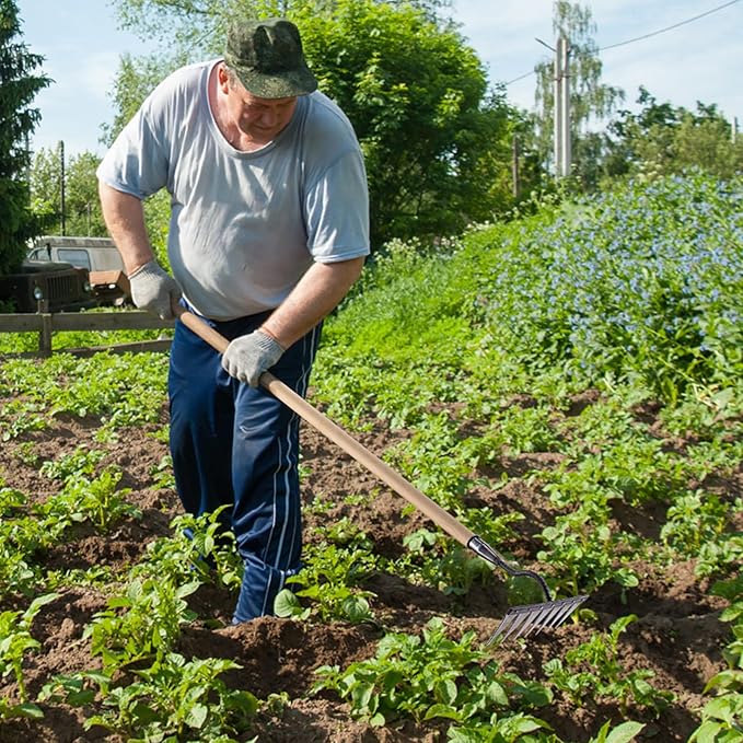 5 Teeth Carbon Steel Garden Weeding