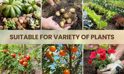 Soil Activator: Plants' Best Friend - Rejuvenate Your Plants