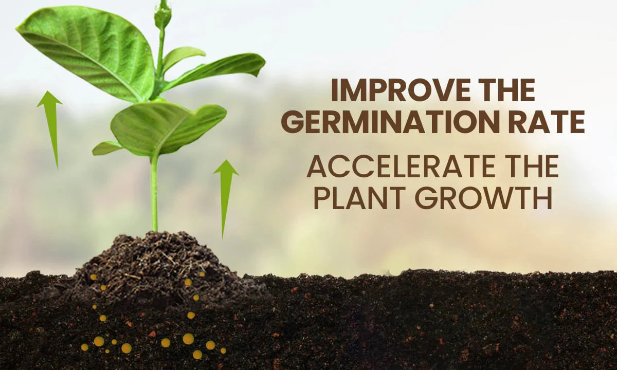 Soil Activator: Plants' Best Friend - Rejuvenate Your Plants