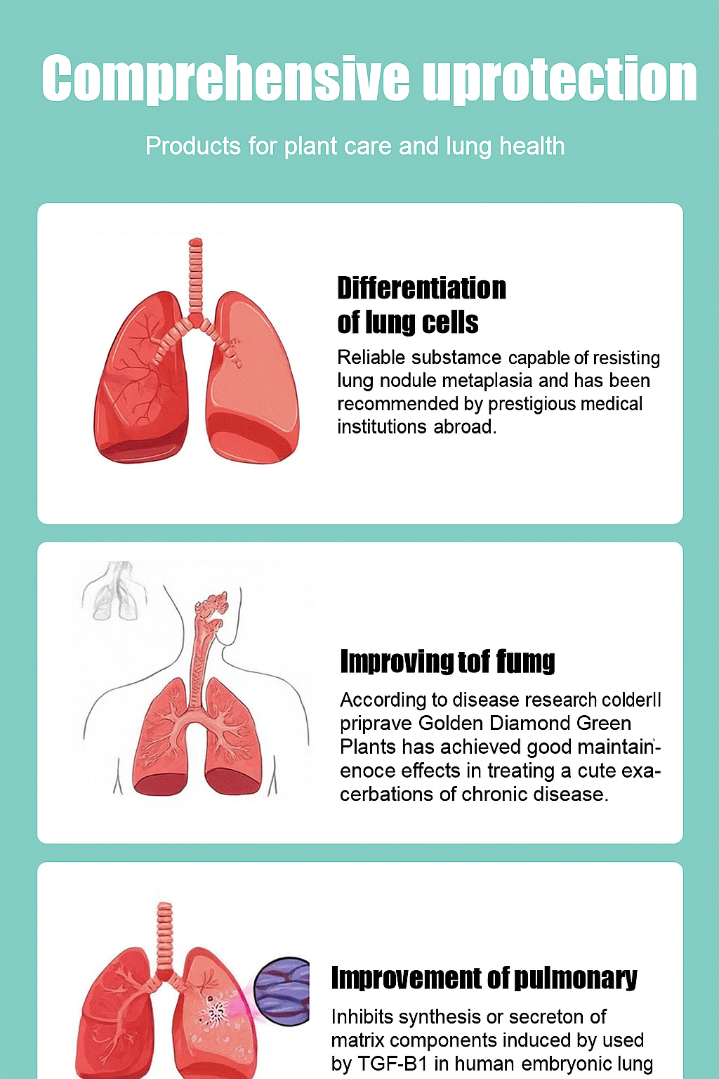 【 Lung Nourishing Drug King 】 Golden Diamond Green Plant
