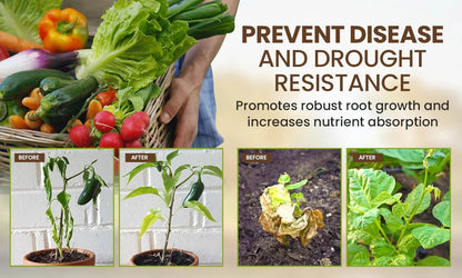 Soil Activator: Plants' Best Friend - Rejuvenate Your Plants